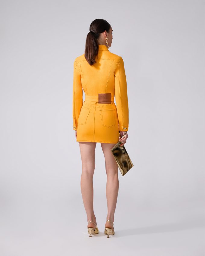 The Corset Mini Skirt