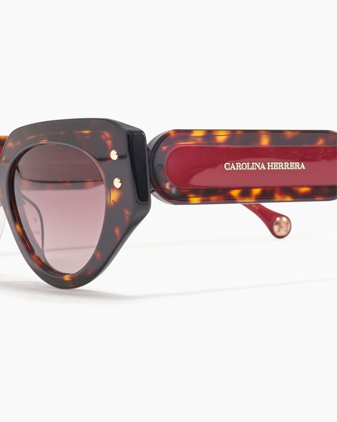 Oval Frame Sunglasses With Contrast Temples
