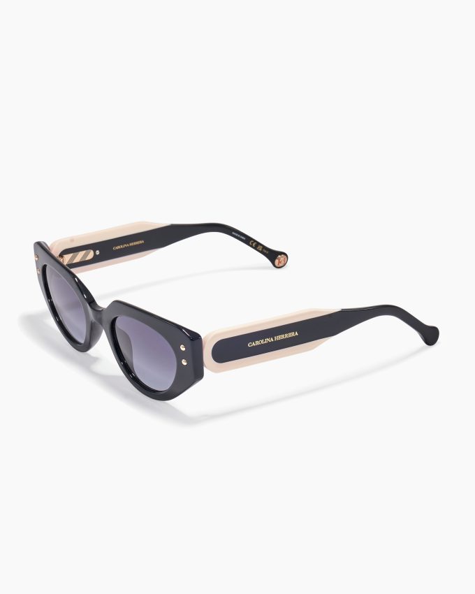 Oval Frame Sunglasses With Contrast Temples