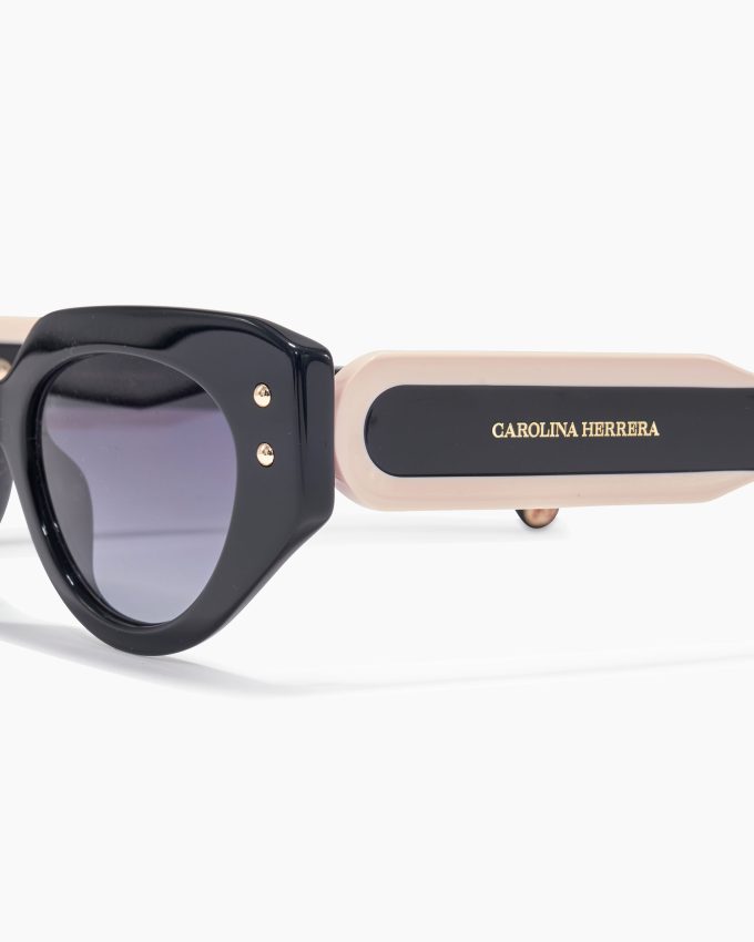 Oval Frame Sunglasses With Contrast Temples