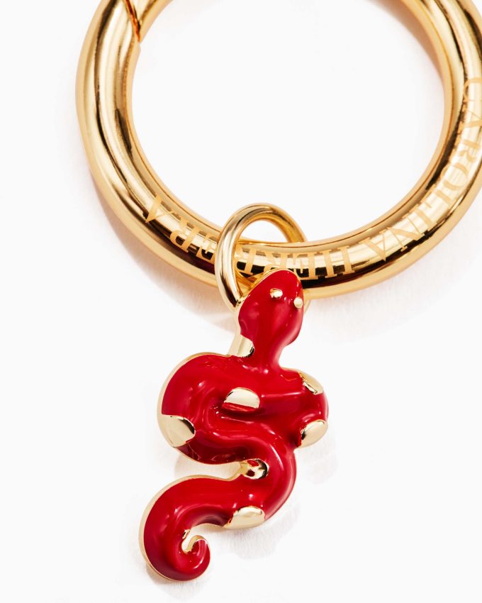 Mesmerizing Snake Charm