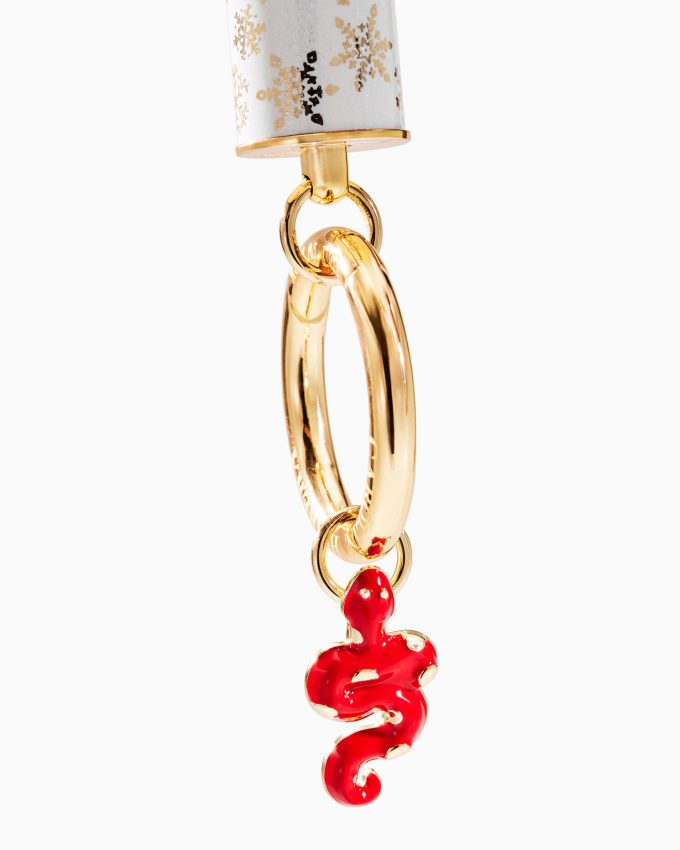 Mesmerizing Snake Charm