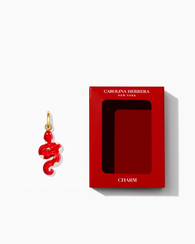 Mesmerizing Snake Charm