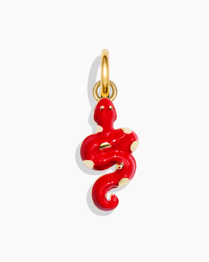 Mesmerizing Snake Charm