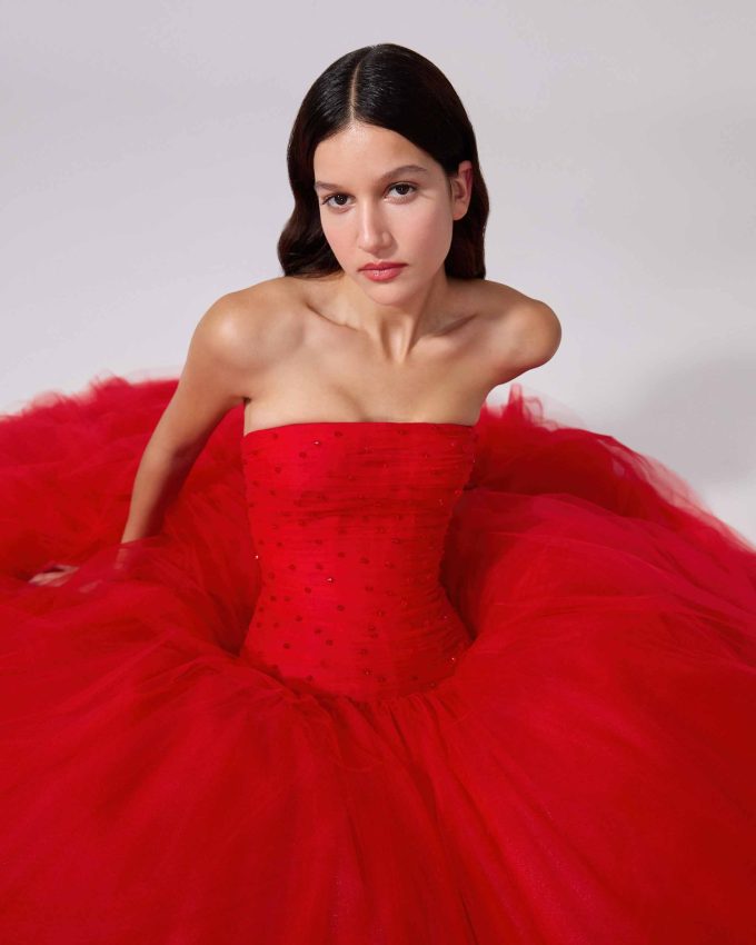 Embroidered Strapless Tulle Dress