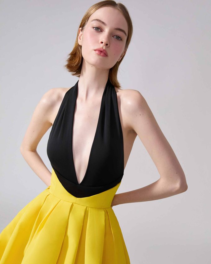 Halterneck V-Waist Gown