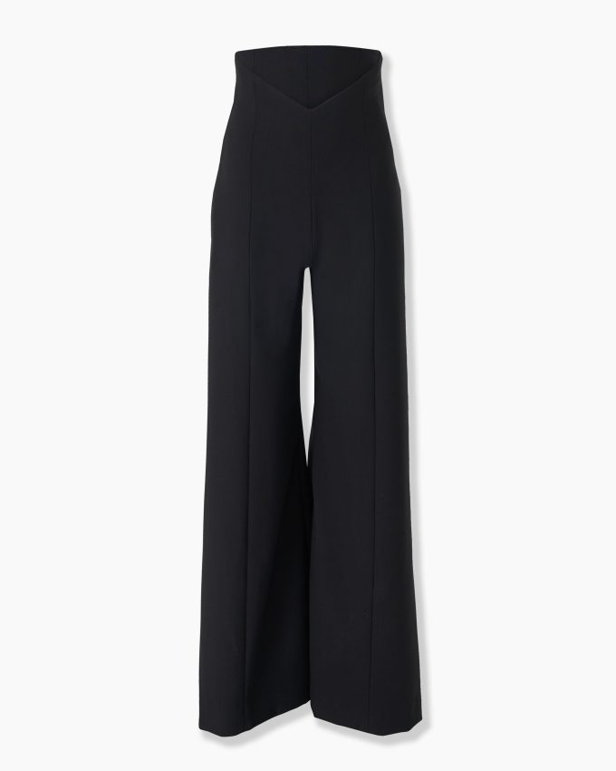 V-Waist Wide-Leg Pants