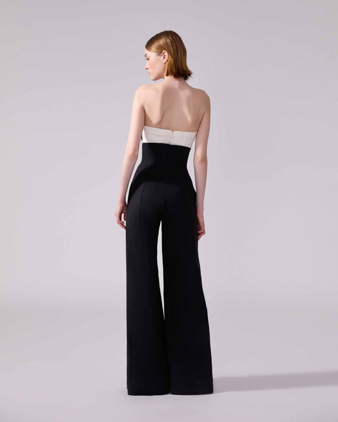 V-Waist Wide-Leg Pants