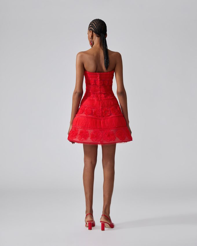 Embroidered Tulle Mini Dress
