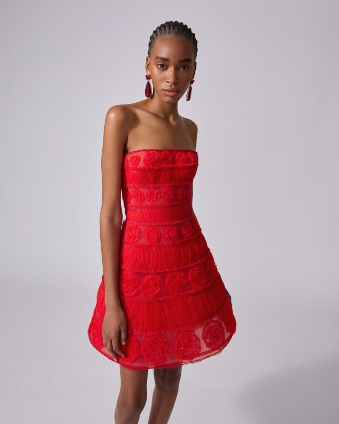 Embroidered Tulle Mini Dress