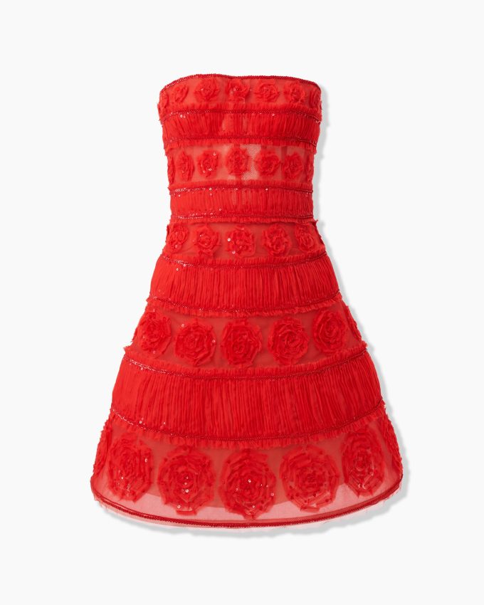 Embroidered Tulle Mini Dress