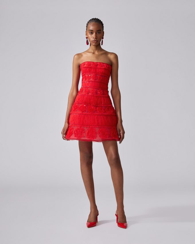 Embroidered Tulle Mini Dress