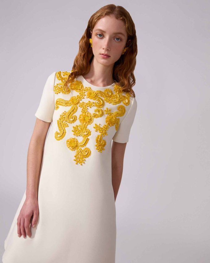 Embroidered Shift Mini Dress