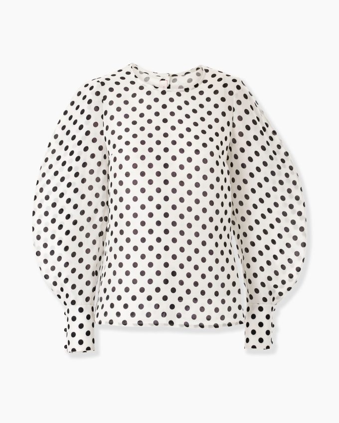 Polka Dot Arc Sleeve Top