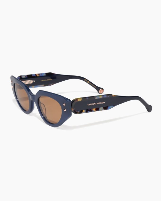 Oval Frame Sunglasses With Contrast Temples
